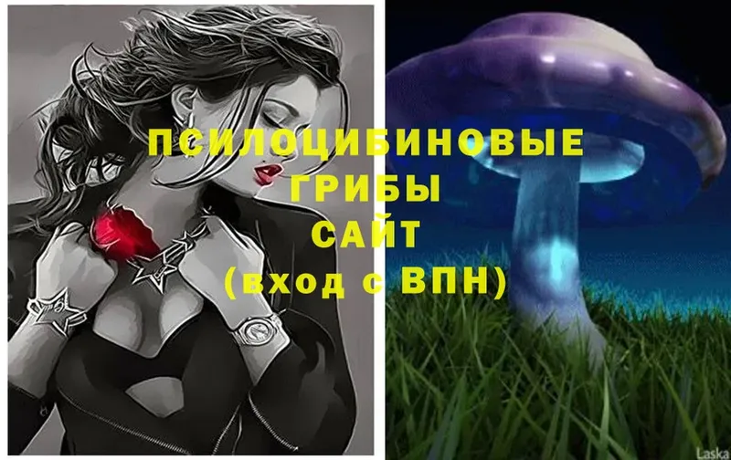 Псилоцибиновые грибы Magic Shrooms  Нытва 